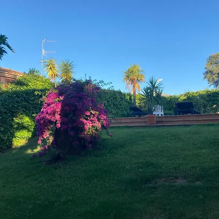 La Parra En El Corazon De La Sierra De Gata Tr-cc-00464 Santibanez el Alto