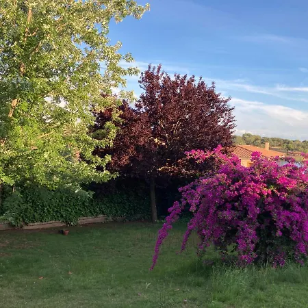 La Parra En El Corazon De La Sierra De Gata Tr-cc-00464 Santibanez el Alto