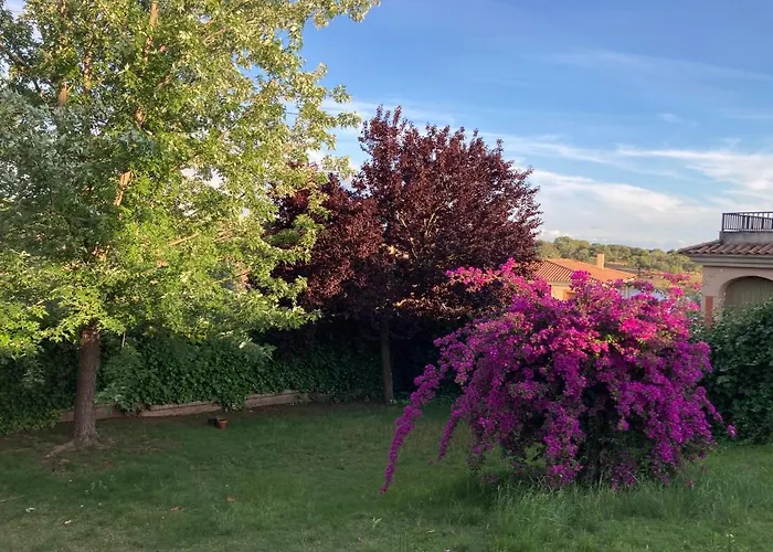 La Parra En El Corazon De La Sierra De Gata Tr-cc-00464 Santibanez el Alto