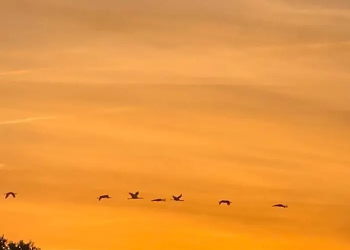 La Parra En El Corazon De La Sierra De Gata Tr-cc-00464 Casa vacanze *